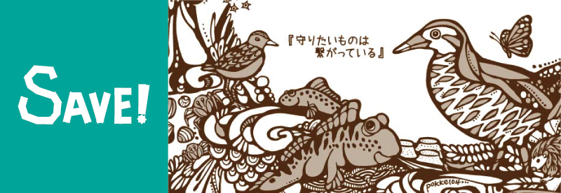 沖縄Tシャツ環境
