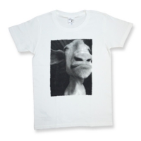 wht_front.jpg